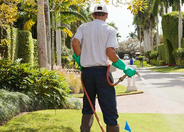 About Mulberry FL Pest Control Pros